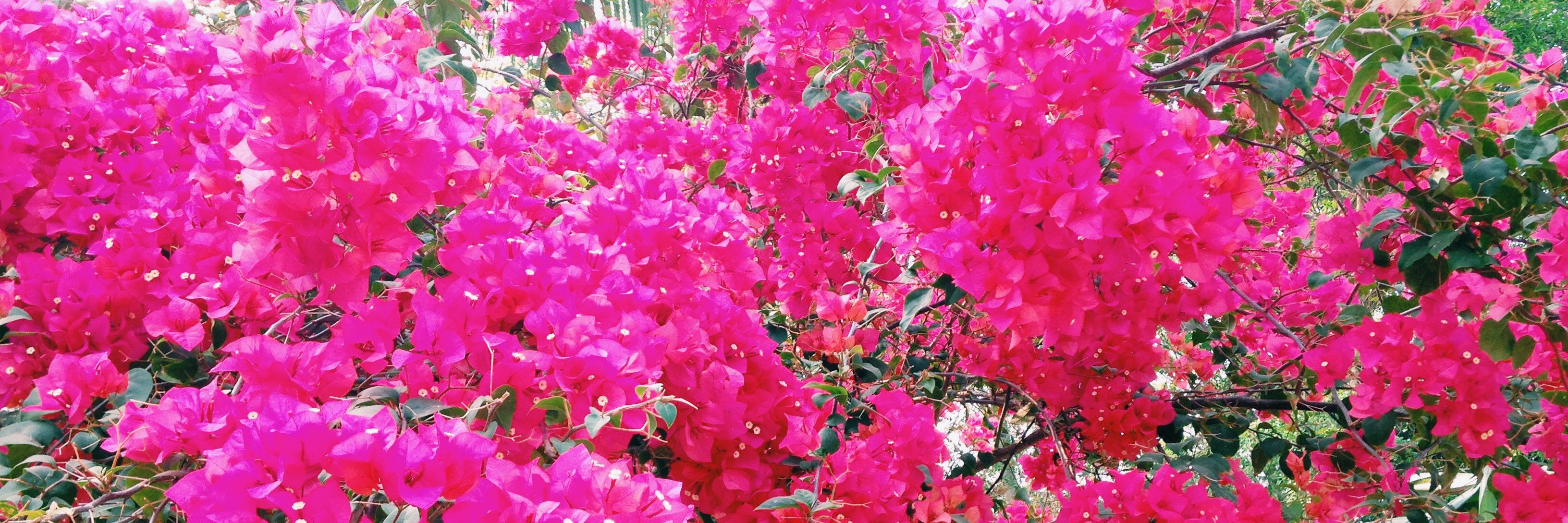 ifathiya's profile banner image
