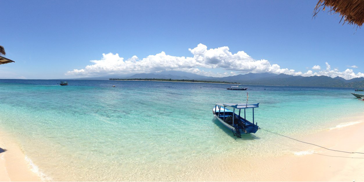 Jeanine Sears banner