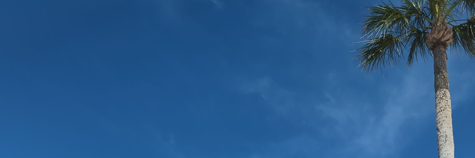 Matthew Thomas banner