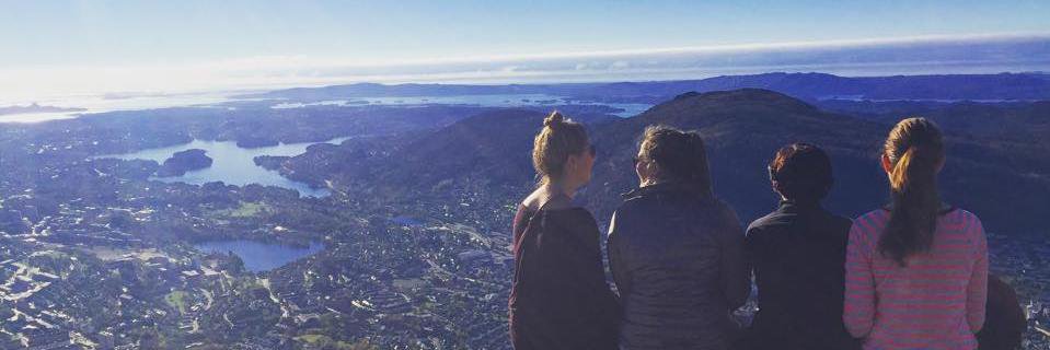 Kristine Braid banner