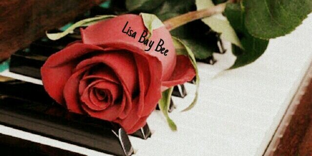 LisaBeyBee's profile banner image