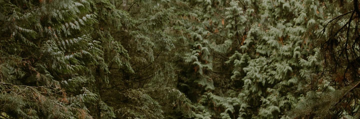 ShastenMarie's profile banner image