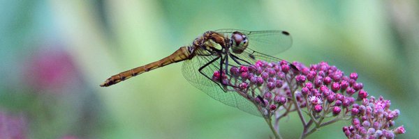 BarryScott59 Profile Banner