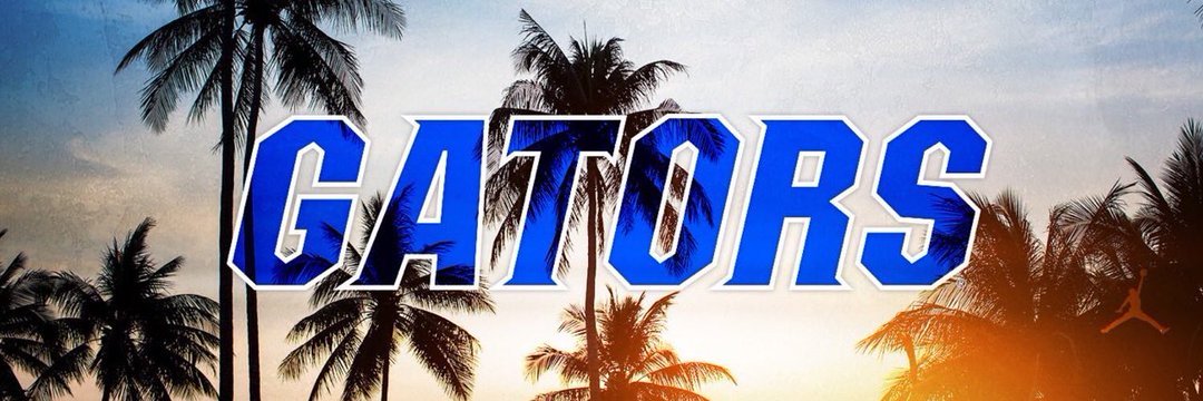 gatorNancy98's profile banner image