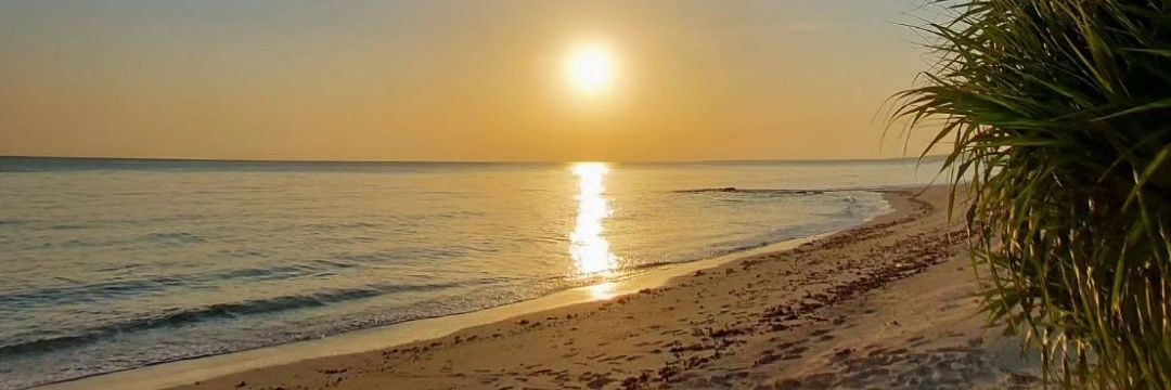 エイト🛥️🏖️ banner