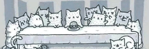 PincGato's profile banner image