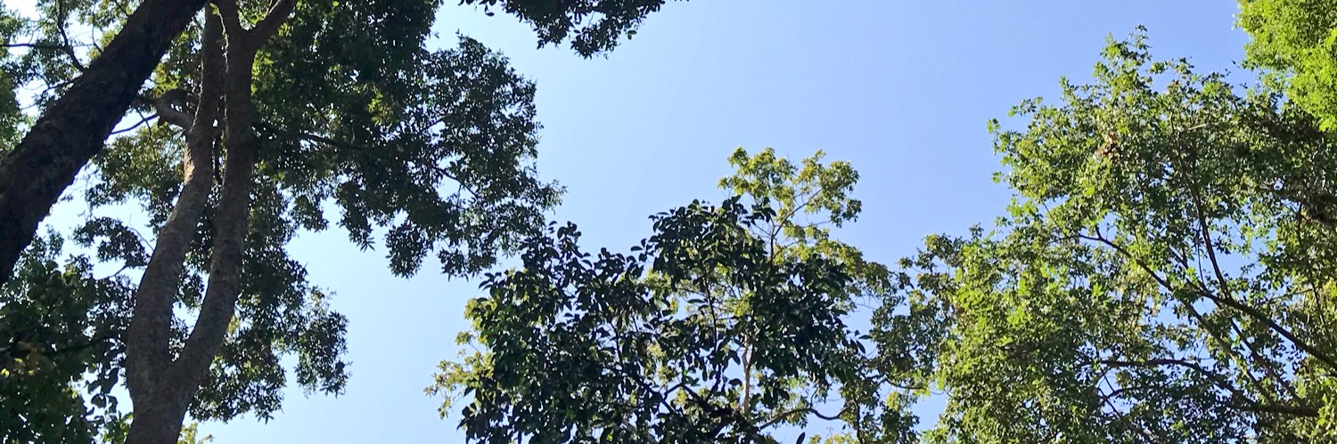 MDNutthapong's profile banner image