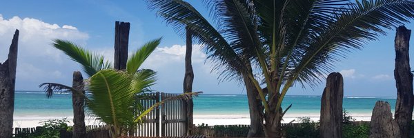 Shindeh Profile Banner