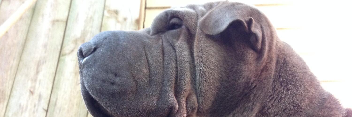 Magbic Aleman banner