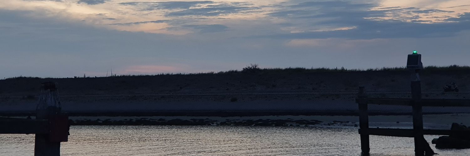 Natasja v.d. Linde banner