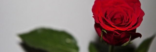 AlexaChu_'s profile banner image