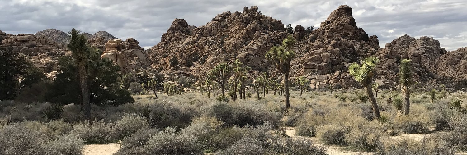 Randy Nichols banner