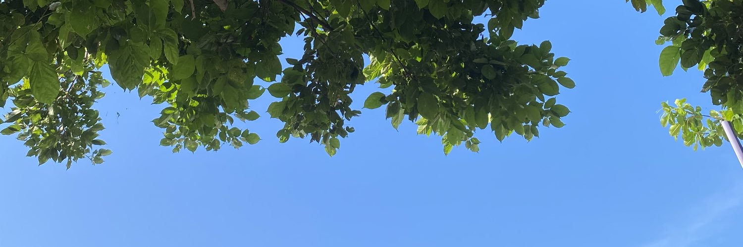 AldayPMA's profile banner image