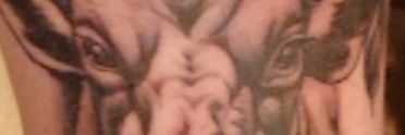 kamakitt's profile banner image