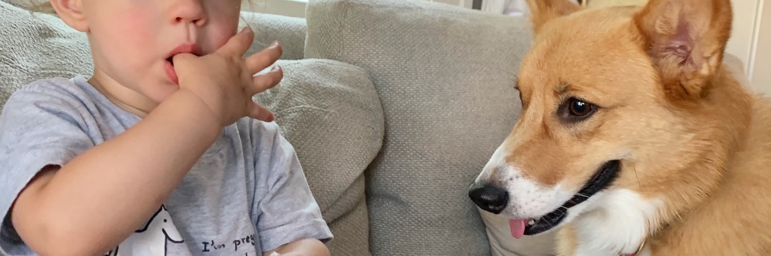 MikeStopEating's profile banner image