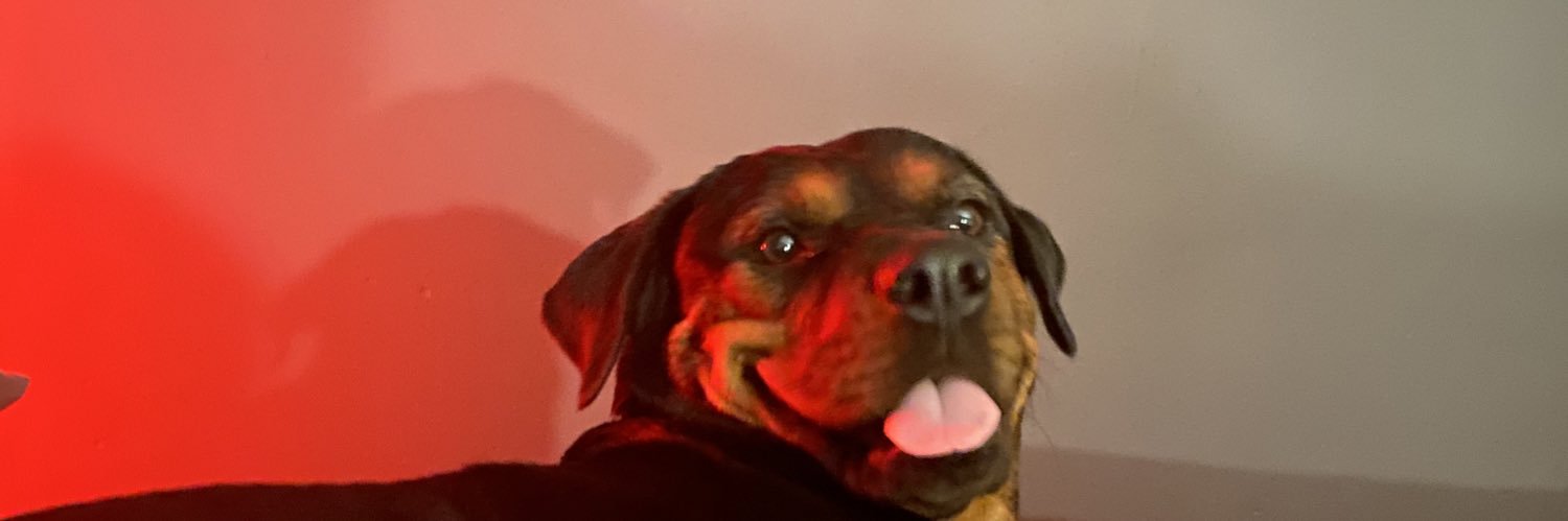 stunningdaddy's profile banner image