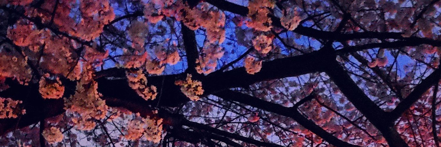 br3vity's profile banner image