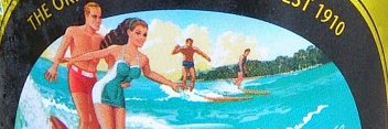 Turtle Willson banner