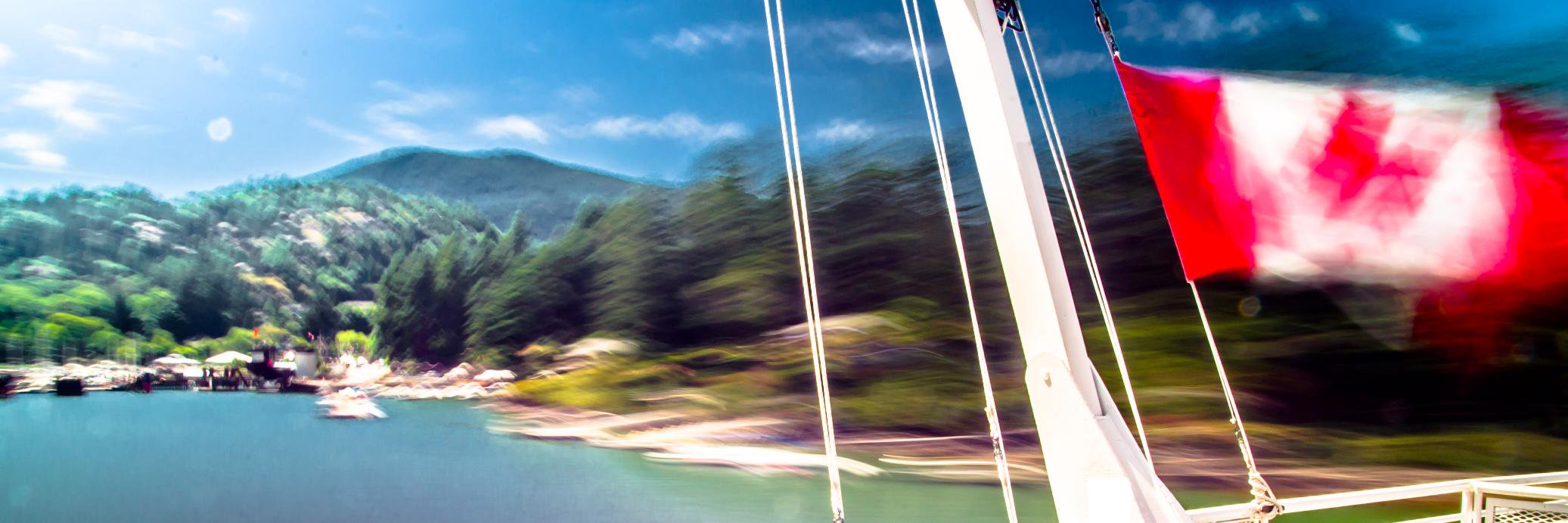 Thomas_violist's profile banner image