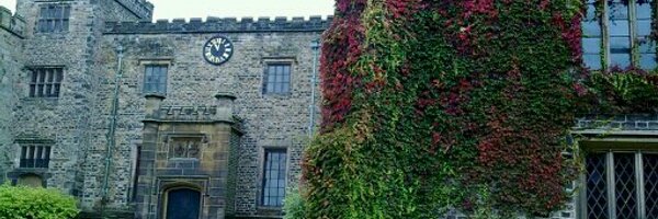 kathrynhalton Profile Banner