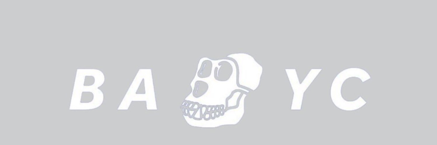 Shinixy's profile banner image