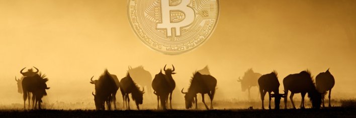 AfrocryptoKe's profile banner image