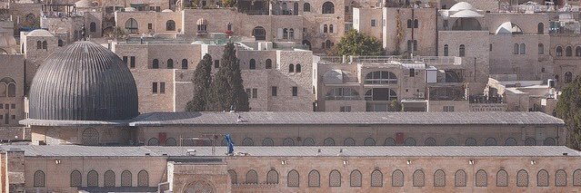 ‎نيسفا banner