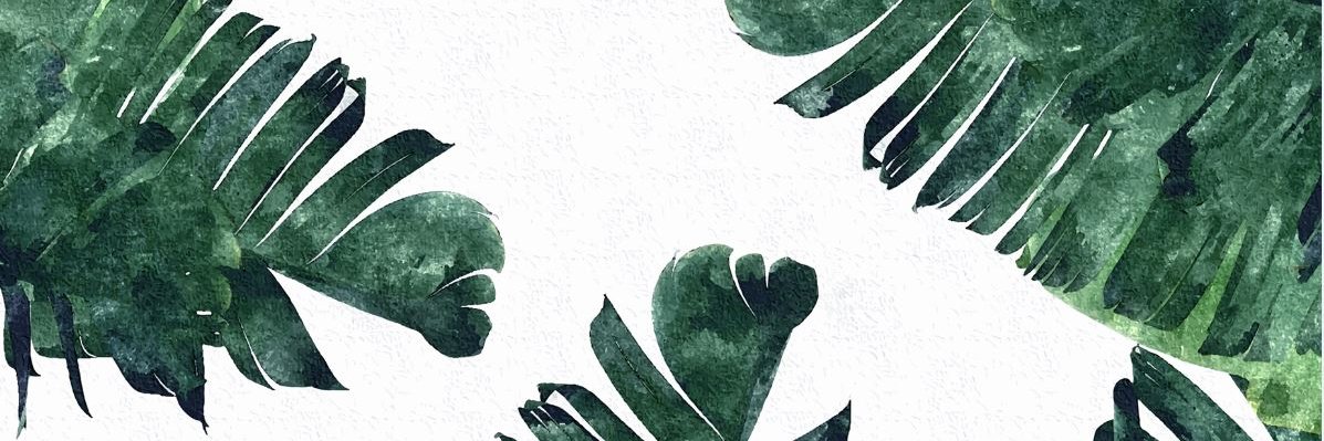 colleenadunn's profile banner image