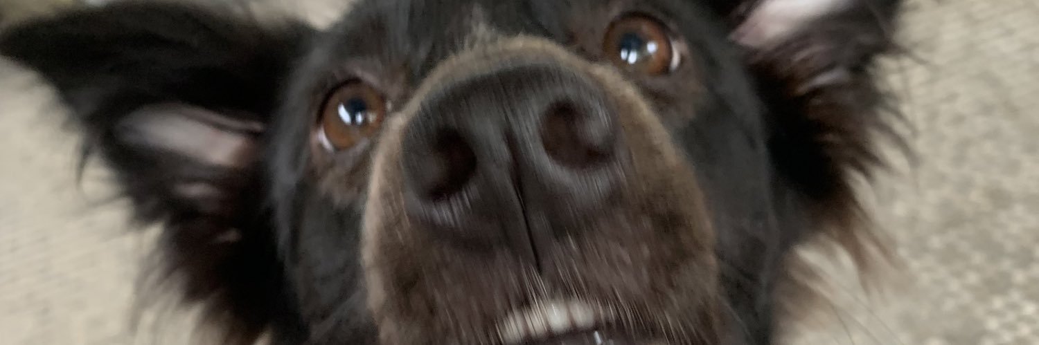 dnccastro's profile banner image