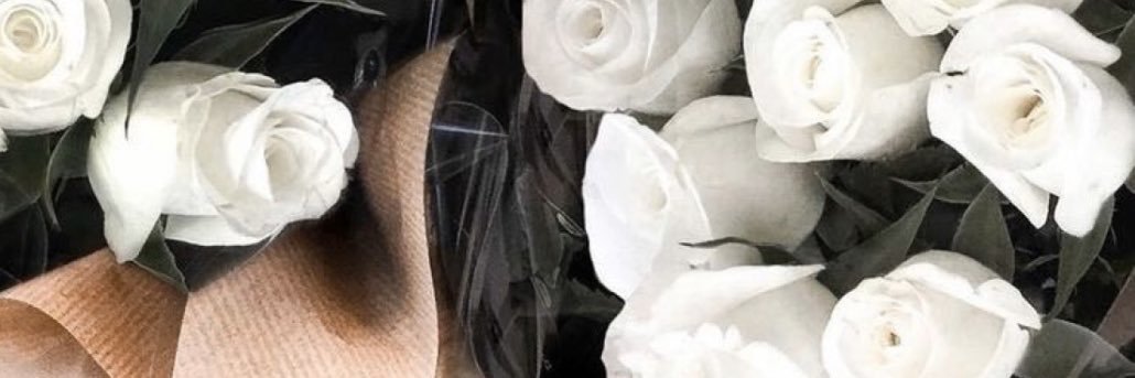 AssieAngie's profile banner image
