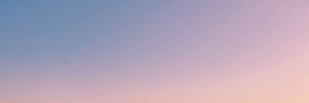 ◆ banner
