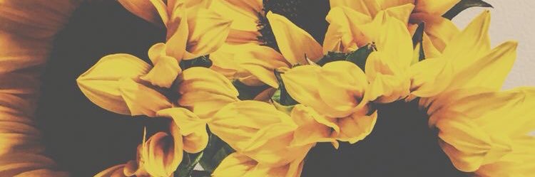 mrsferrytale's profile banner image
