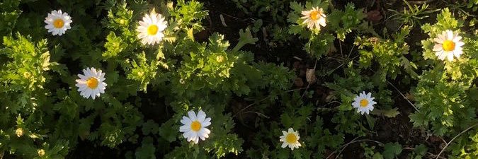 cseeze_'s profile banner image