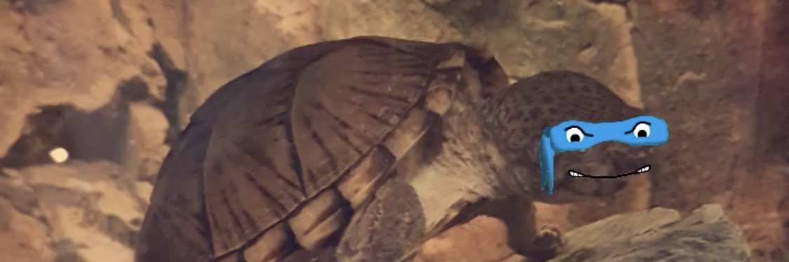 Taya0o's profile banner image