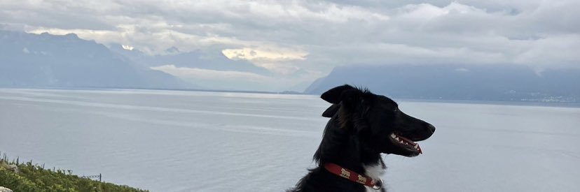 NathanPraz's profile banner image