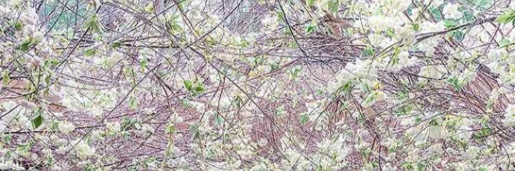 axsam_xx's profile banner image