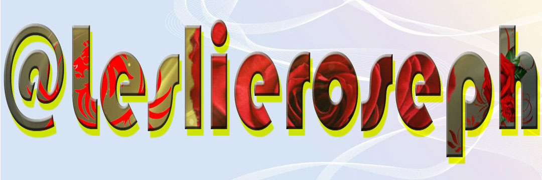 justleslierose's profile banner image