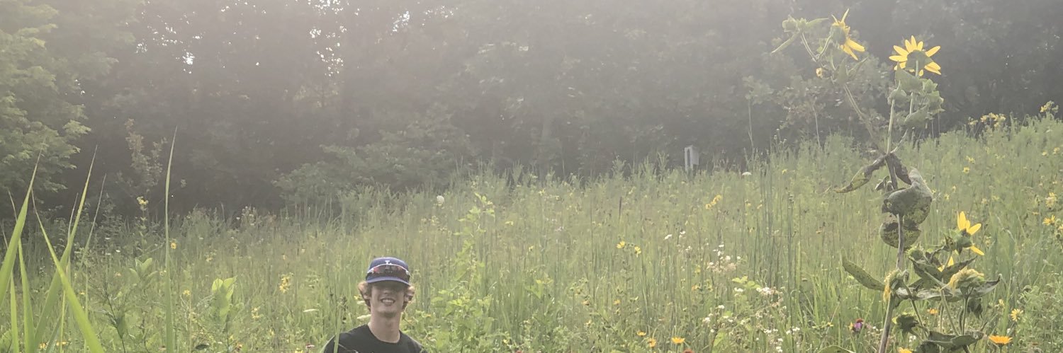 iLiekPandasTV's profile banner image