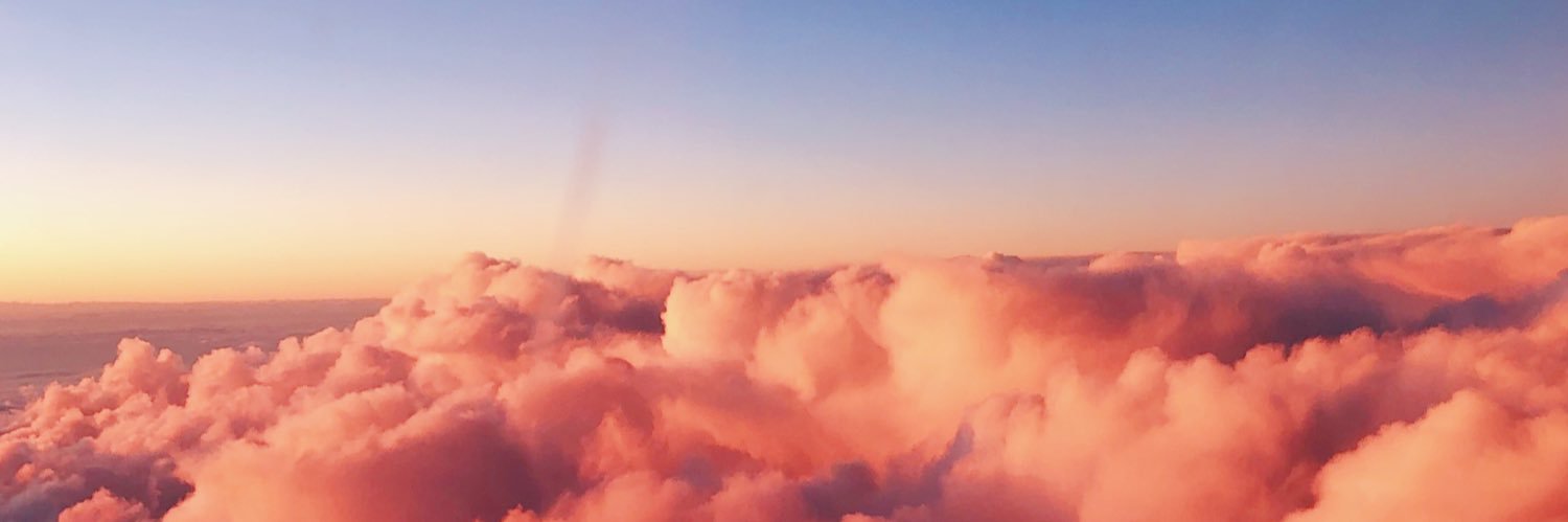 nmcfadden_'s profile banner image