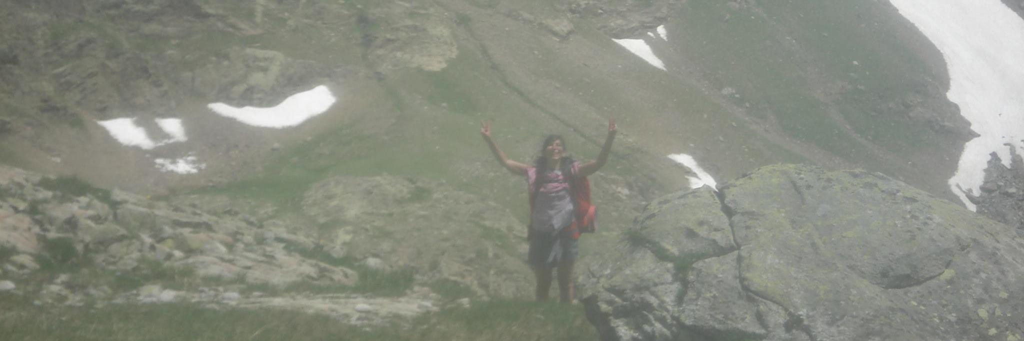 Laura D'Accardi banner