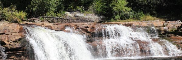 AlleghenyFront Profile Banner