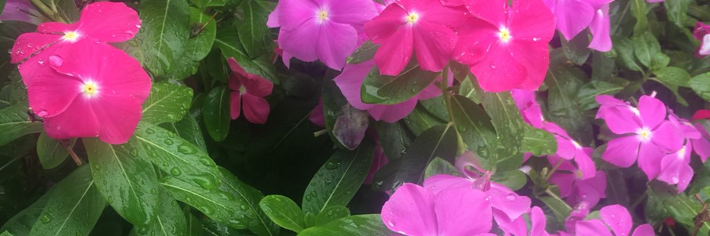 fumatann0503's profile banner image