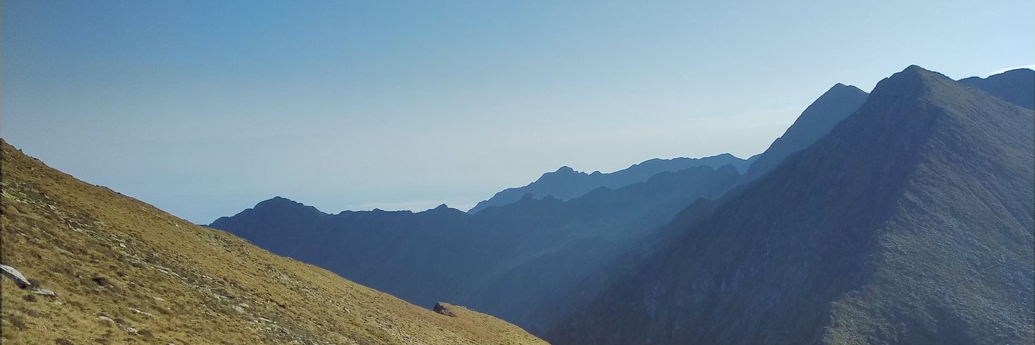 buiestru's profile banner image