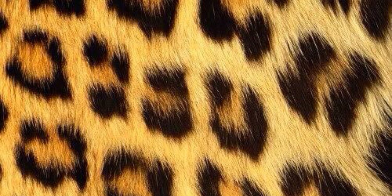 laarshh's profile banner image