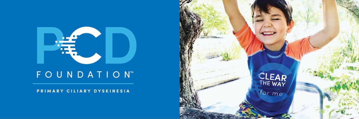 PCD Foundation banner