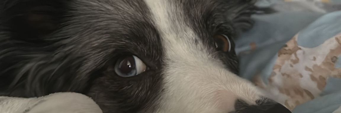 epicuuure's profile banner image