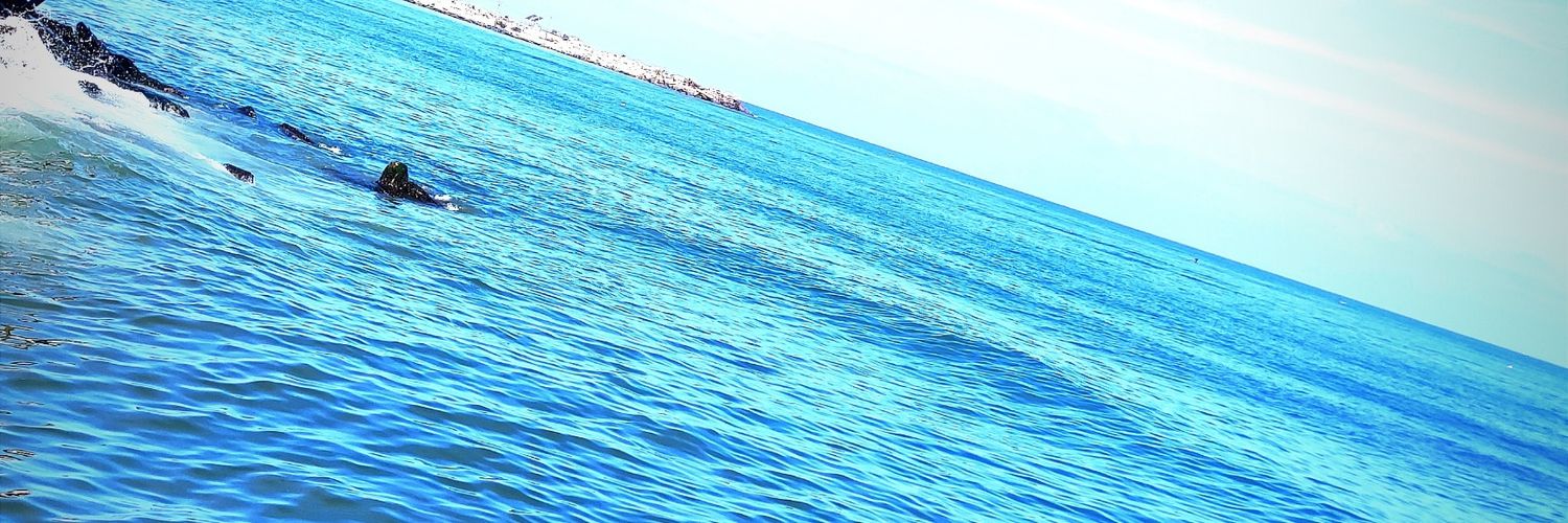 sela12l's profile banner image