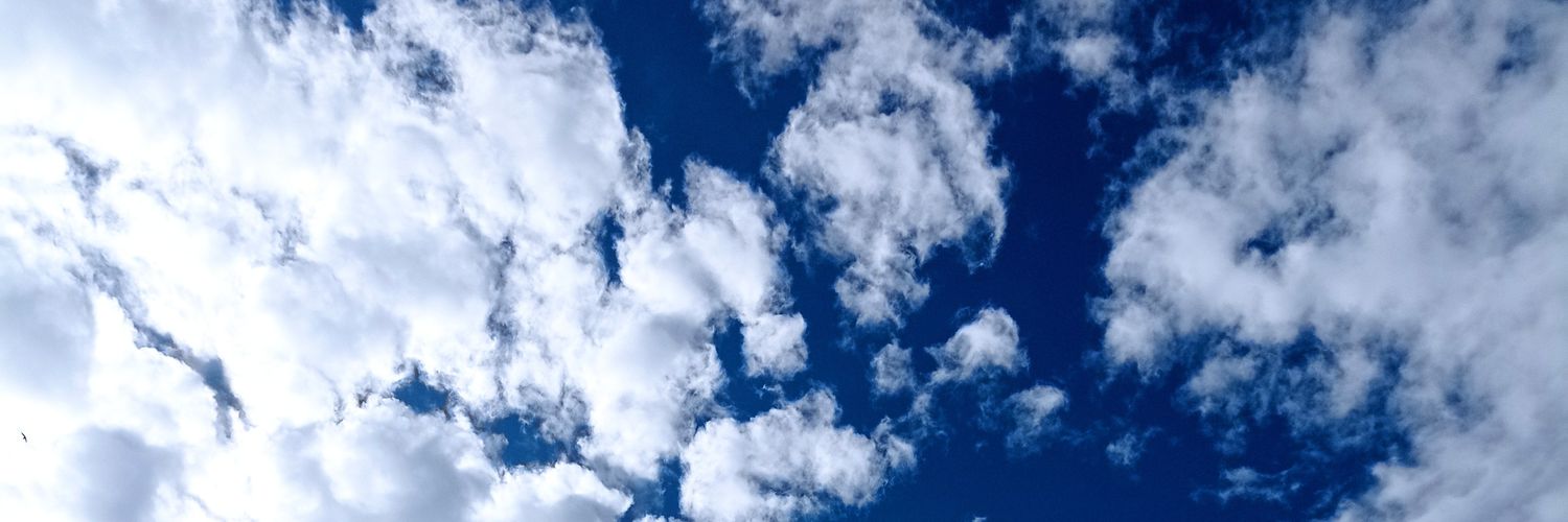 anifyel's profile banner image