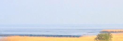 C_Berthel's profile banner image