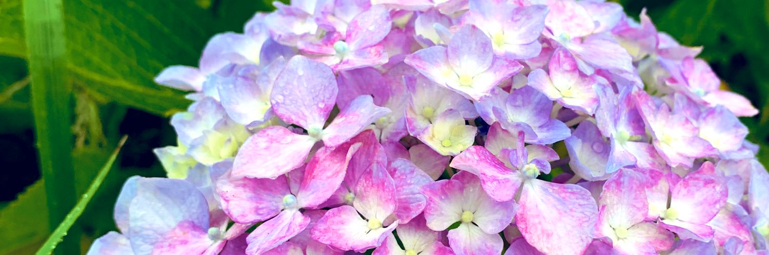 MK+（ﾐｺﾀｽ） banner